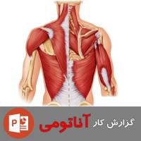 گزارش کار کامل آناتومی